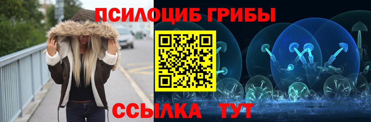 Псилоцибиновые грибы Magic Shrooms  Галлюциногенные грибы прущие грибы  где купить наркотик  Кизляр  Вход с VPN 